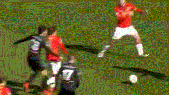 有的项目需 有的项目需